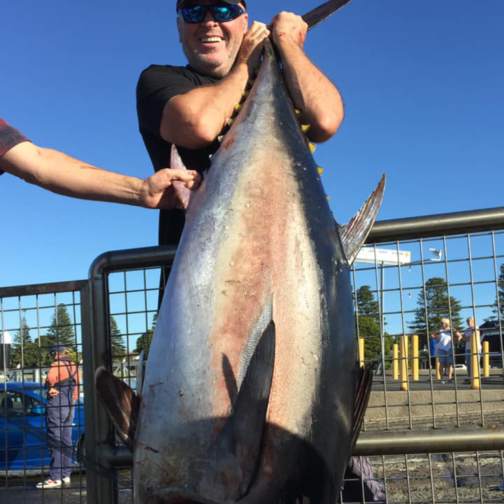 Large Blue fin tuna portland Victoria