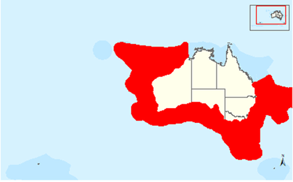 Tuna-territory-australia-Melbourne