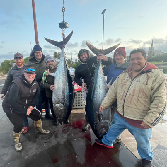 Bagout Tuna Fishing Charters Portland, Victoria Gallery