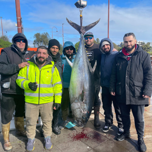 Bagout Tuna Fishing Charters Portland, Victoria Gallery