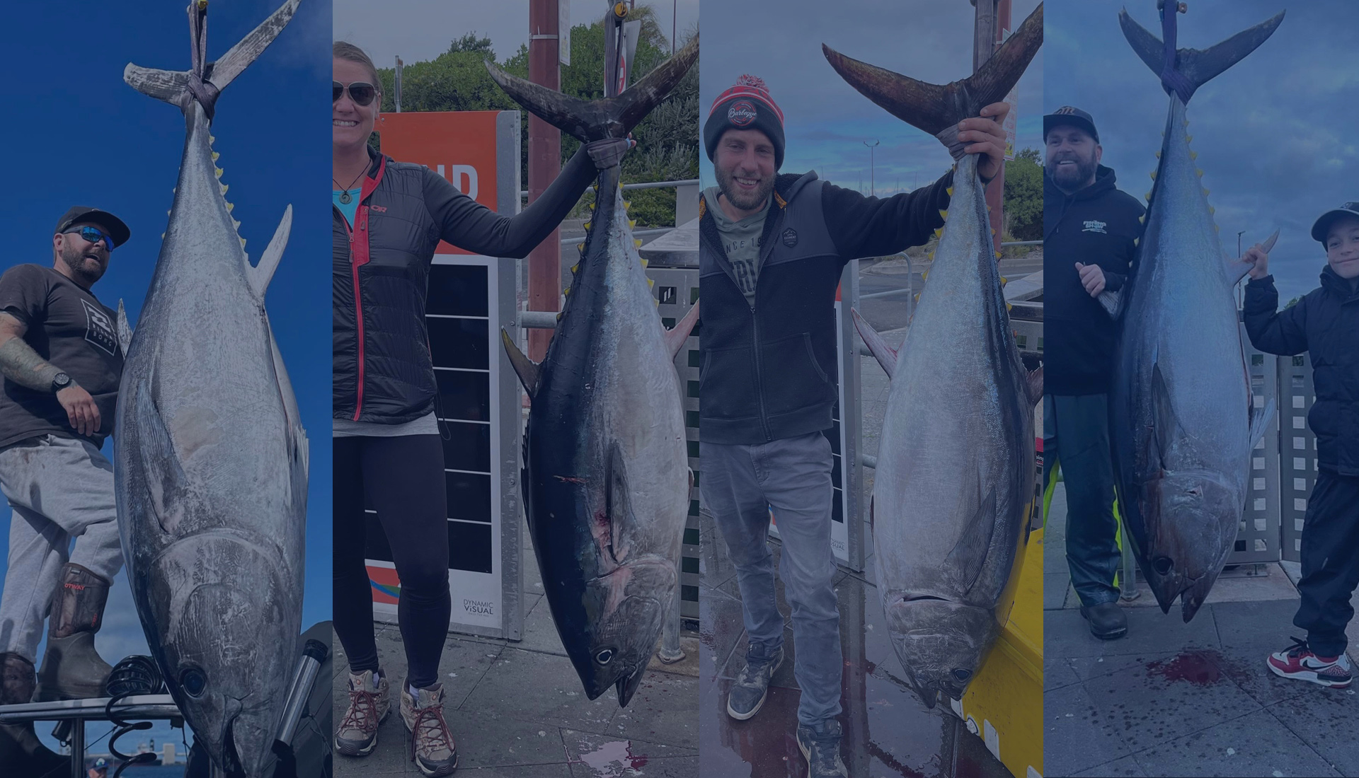 Tuna Fishing Charters 2024